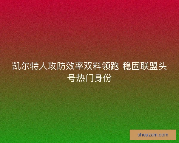 凯尔特人攻防效率双料领跑 稳固联盟头号热门身份